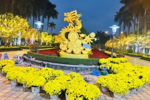 Đà Nẵng: Khai mạc Hội Hoa Xuân Giáp Thìn 2024