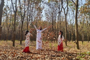 Cao su mùa thay lá