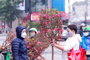Ngày 30 Tết, Miền Bắc còn rét mạnh