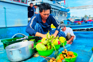 Mang hương vị Tết đến với Hoàng Sa, Trường Sa