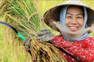 Năm 2024, ngành nông nghiệp đặt mục tiêu tăng trưởng GDP 3-3,5%