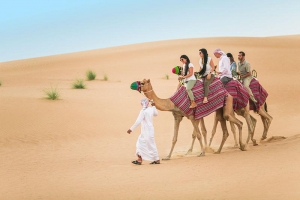 10 sa mạc, hoang mạc lớn nhất thế giới & sa mạc Sahara có gì?