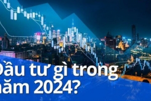 Năm Rồng 2024, nhà đầu tư nên xuống tiền đầu tư gì?