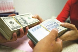 Tỷ giá USD hôm nay 11/02: USD ghi nhận mức tăng liên tiếp trong 06 tuần