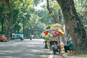 Thời tiết mùng 4 Tết (13/02): Bắc Bộ và Bắc Trung Bộ trời nắng