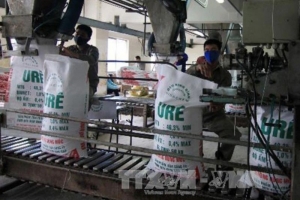 Giá phân bón trong nước bám sát đà tăng trên thế giới