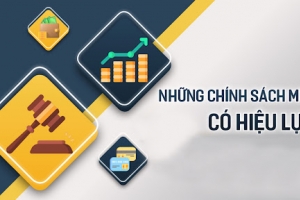 Những chính sách mới, nổi bật được áp dụng từ ngày 15/02