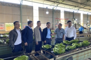 Uỷ ban Chứng khoán Nhà nước thông qua hồ sơ chào bán 130 triệu cổ phiếu của Hoàng Anh Gia Lai (HAG)