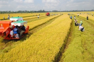 Huyện Hải Hậu thực hiện hiệu quả Chương trình mục tiêu quốc gia giảm nghèo bền vững