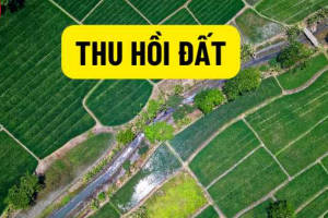 Chính sách mới về bồi thường thu hồi đất theo Luật Đất đai 2024