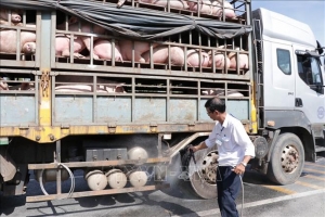 Bạc Liêu ngăn chặn nhập lậu, vận chuyển trái phép động vật, sản phẩm động vật