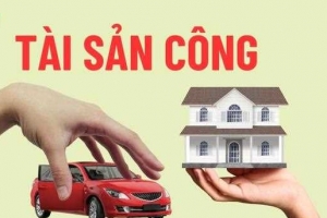 Tổng kiểm kê tài sản công phục vụ việc xây dựng chiến lược, kế hoạch phát triển kinh tế - xã hội