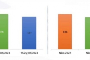 TNG: Doanh thu 02 tháng đầu năm tăng 12,7% so với cùng kỳ