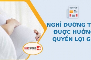 Nghỉ dưỡng thai trước khi sinh có được chế độ thai sản?