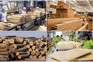 Xuất khẩu lâm sản 2 tháng đầu năm 2024 đạt 2,68 tỷ USD