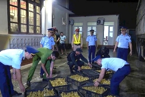 Bộ NN&PTNT đề nghị tỉnh Lạng Sơn tăng cường ngăn chặn vận chuyển trái phép gia cầm qua biên giới