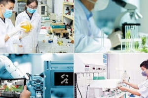 Sửa đổi quy định liên quan đến Quỹ phát triển KH&CN của doanh nghiệp
