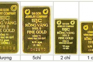Tăng 100.000 đồng phiên sáng 12/03, giá vàng SJC chính thức lên ngưỡng 82,3 triệu đồng/lượng