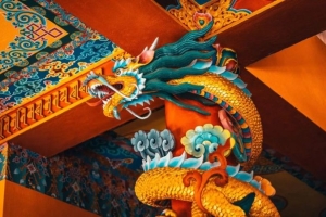 Những loại cây giúp không gian tràn ngập năng lượng nên trồng quanh nhà