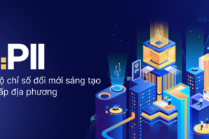 Bộ chỉ số đổi mới sáng tạo cấp địa phương thể hiện điều gì?