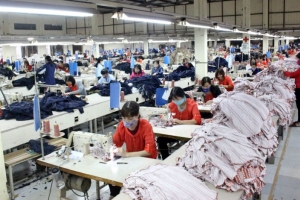 Thái Nguyên: Giá trị hàng hóa xuất khẩu 2 tháng tăng 26,7% so với cùng kỳ  