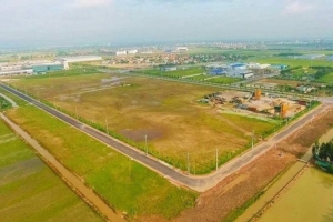 Giá cao su tự nhiên tăng mạnh do đâu?