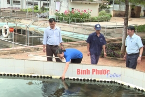 Lợi kép từ kinh tế tuần hoàn