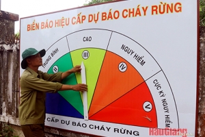 Hậu Giang: Nâng dự báo cháy rừng lên cấp cao từ ngày 15/3