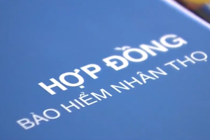 Sẽ thanh tra hết các công ty bảo hiểm