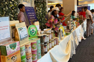 Đẩy mạnh sản xuất và tiêu dùng bền vững