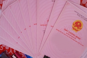 Luật Đất đai 2024: Các trường hợp không cấp sổ đỏ