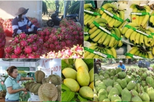 Xuất khẩu rau quả dự kiến thu về gần 1,25 tỷ USD trong quý I/2024