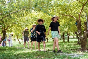Thanh Hóa tập trung phát triển du lịch nông nghiệp