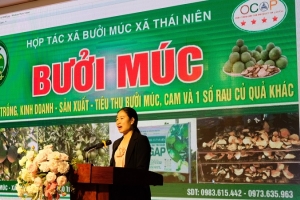 Phát động cuộc thi “Thách thức sáng kiến kinh doanh năm 2024"
