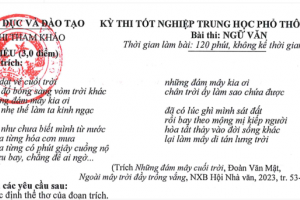 Bộ Giáo dục và Đào tạo công bố đề tham khảo thi tốt nghiệp THPT năm 2024