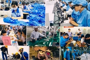 Những hành vi nào bị nghiêm cấm trong lĩnh vực việc làm?