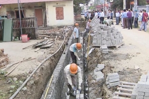 Kiểm tra tình hình xây dựng xã NTM kiểu mẫu, sản xuất nông nghiệp tại huyện An Dương và Tiên Lãng
