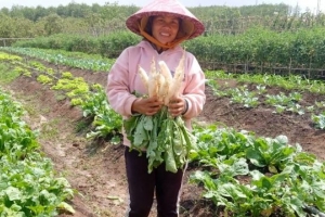 Niềm vui lan tỏa từ khu vườn tăng gia KLH Ia Puch