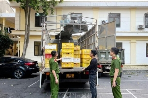Phát hiện hơn 10.000 quả trứng gia cầm không rõ nguồn gốc