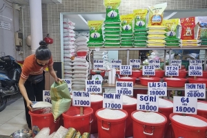 Giá lúa gạo hôm nay 31/3: Ổn định, trong tuần giá lúa gạo giảm 200 - 600 đồng/kg