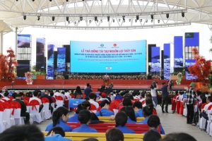 Quảng Ninh thả 5 triệu con giống xuống vịnh Bắc Bộ