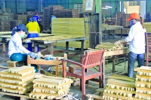 Doanh nghiệp miền Trung tìm đường vào thị trường Bắc Mỹ