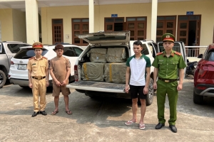 Bắt giữ vụ vận chuyển hơn 760kg trứng gà non không rõ nguồn gốc
