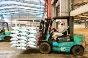 Thúc đẩy vốn tín dụng đầu tư của Nhà nước