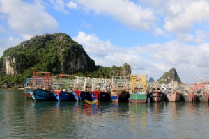 Quảng Ninh tạm ngừng cấp phép tàu do ảnh hưởng của bão số 5