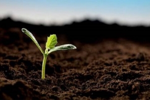 Thẩm quyền quyết định việc chuyển mục đích sử dụng đất