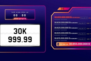 Đấu giá lại biển số 30K-999.99 hơn 30 tỷ đồng
