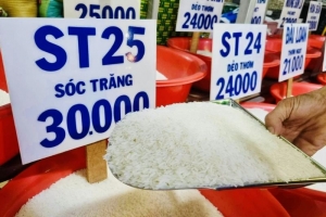 Giá lúa gạo hôm nay 6/4: Không có biến động