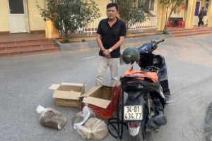 Phát hiện trường hợp vận chuyển động vật hoang dã