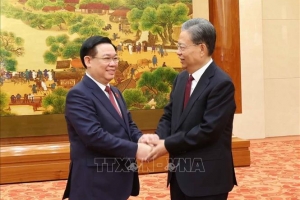 Chủ tịch Quốc hội Vương Đình Huệ hội đàm với Chủ tịch Quốc hội Trung Quốc Triệu Lạc Tế
